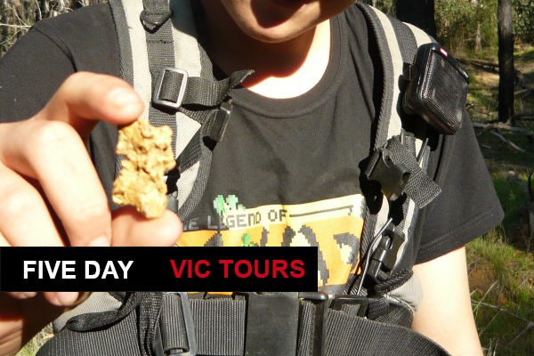 gold detecting tours western australia